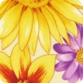 Flower Shop