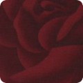EOKX-8220-93 SCARLET