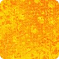 Fusions® Collection