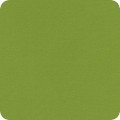 Featured image F019-1192 LIME