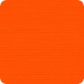 CARROT 91