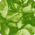 Featured image FLH-20875-7 GREEN