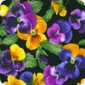 Flowerhouse: Brightly So