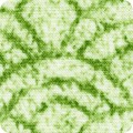 Featured image FLH-21207-7 GREEN
