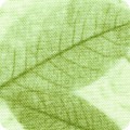 Featured image FLH-21209-7 GREEN