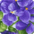 Flowerhouse: Viola
