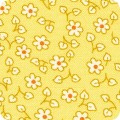 Featured image FLHD-21888-432 CORN YELLOW