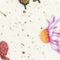 Fabric Bugs & Butterflies