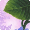 RK-product FLHD-22988-23