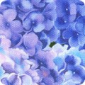 RK-product FLHD-22990-23