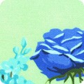 RK-product FLHD-22991-32