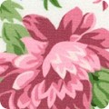 Featured image FLHDKX-20743-90 PEARL