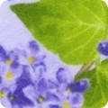 Featured image FLHF-19893-23 LAVENDER