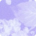 Featured image FLHF-19895-23 LAVENDER
