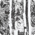 RK-product H244-1978