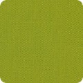 LIME LIME