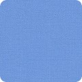 BLUE JAY