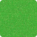 GREEN SHIMMER GREEN SHIMMER