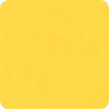 Featured image P350-897 CITRUS 91269.3