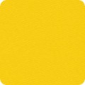 SB-17000-234 CITRUS