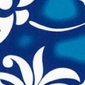 Featured image SB-4144D1-3 BLUE
