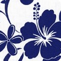 Featured image SB-4144D2-1 BLUE