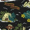 Fabric Hawaii