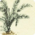RK-product SB-4233D1-1