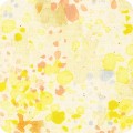 Spring Shower