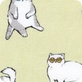 Whiskers &amp; Tails
