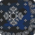 SB-850365D2-4 NAVY