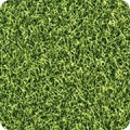 Featured image SRK-14697-47 GRASS