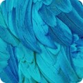 Fabric Feathers