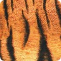 RK-product SRKD-19875-286