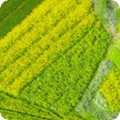 RK-product SRKD-20915-268