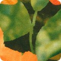 RK-product SRKD-23229-196