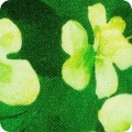 Lucky Clovers