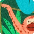 Treetop Jungle