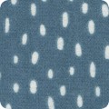 SRKF-21897-77 BLUEBERRY SRKF-21897-77 BLUEBERRY