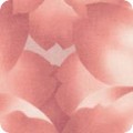 RK-product SRKM-15295-238