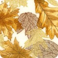 RK-product SRKM-16751-16