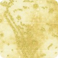 Featured image SRKM-21465-265 PARCHMENT
