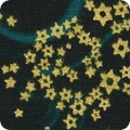 Featured image SRKM-21468-364 ASTRAL