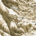 Featured image SRKM-21579-160 TAUPE