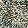 Featured image SRKM-21581-160 TAUPE