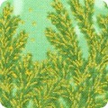 Featured image SRKM-21596-32 MINT
