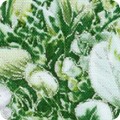 RK-product SRKM-21599-459