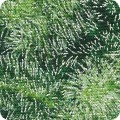 Featured image SRKM-21602-374 SPRUCE
