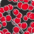 Featured image SRKM-21604-181 ONYX
