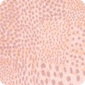 RK-product SRKP-20286-362